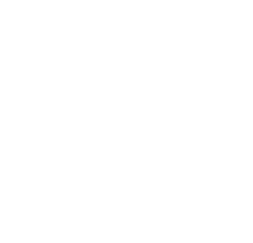Saberes in company